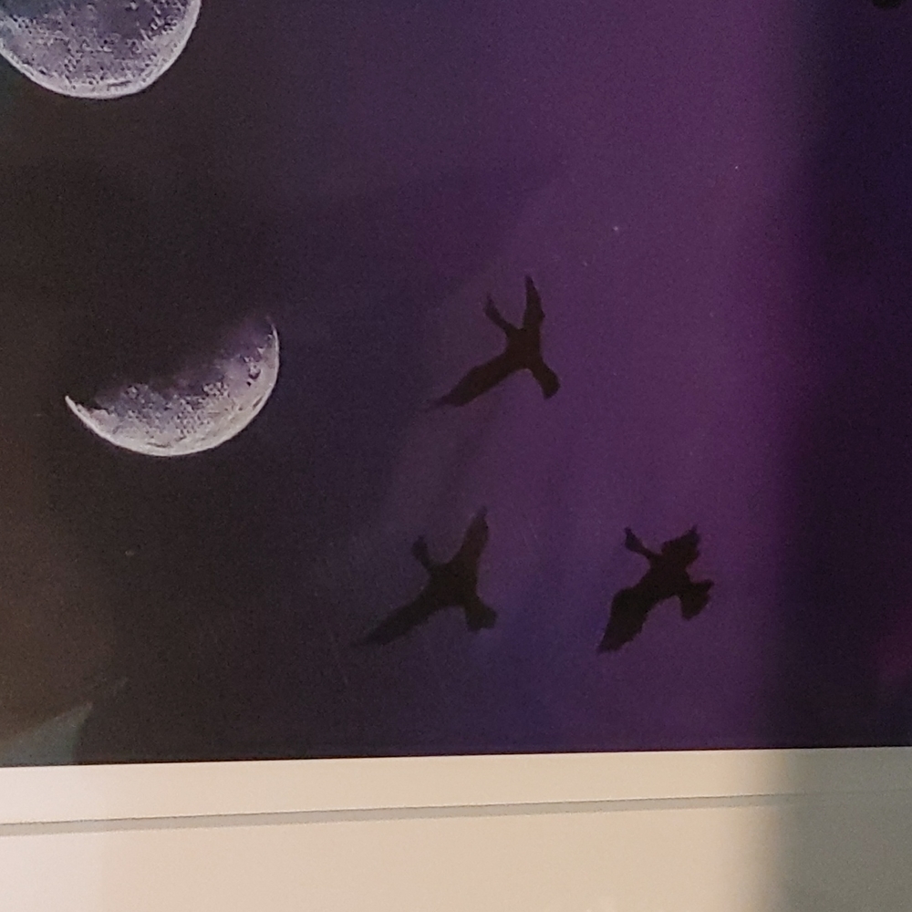 Limited Edition Print - Picture 4 of 5